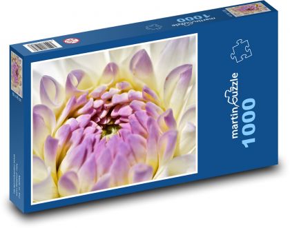 Květ jiřiny - rostlina, růžový květ - Puzzle 1000 dílků, rozměr 60x46 cm