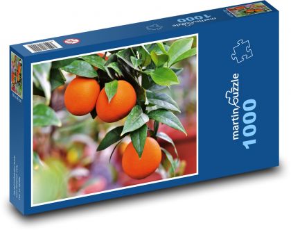 Oranges - citrus fruit, tree - Puzzle 1000 pieces, size 60x46 cm 