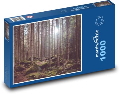 Bohemian Forest - trees, spruce - Puzzle 1000 pieces, size 60x46 cm 