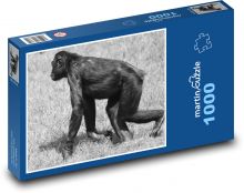 Monkey - animal, mammal Puzzle 1000 pieces - 60 x 46 cm 