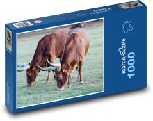 Ankole cow - horned cow, Africa Puzzle 1000 pieces - 60 x 46 cm 