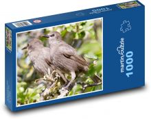 Špaček - pták, peří Puzzle 1000 dílků - 60 x 46 cm