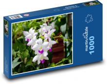 Orchid - flower, flower Puzzle 1000 pieces - 60 x 46 cm 