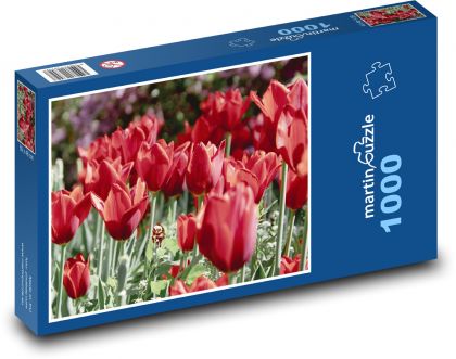 Red tulips - flowers, flowers - Puzzle 1000 pieces, size 60x46 cm 