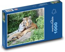 Tiger - zviera, divá zver Puzzle 1000 dielikov - 60 x 46 cm 