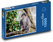 Opice mangabej - zvíře, primát Puzzle 1000 dílků - 60 x 46 cm