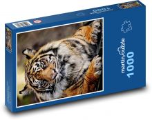 Tiger sumaterský - cicavec, dravec Puzzle 1000 dielikov - 60 x 46 cm 