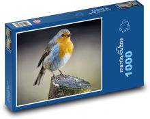 Robin - ptak, pióra Puzzle 1000 elementów - 60x46 cm