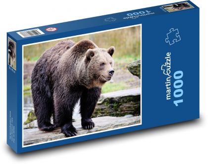 Grizzly - bear, animal - Puzzle 1000 pieces, size 60x46 cm 