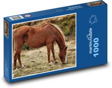 Brown horse - animal, nature Puzzle 1000 pieces - 60 x 46 cm 