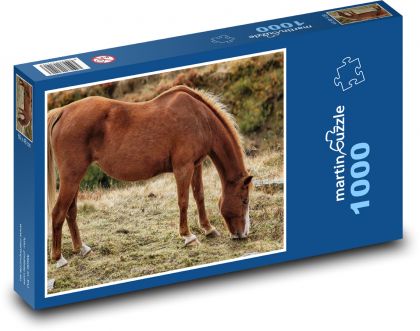 Brown horse - animal, nature - Puzzle 1000 pieces, size 60x46 cm 