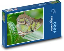 Egzotyczny motyl - owad, liść Puzzle 1000 elementów - 60x46 cm