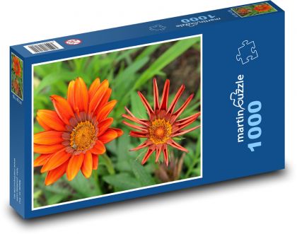 Oranžová gazánia - kvetina, záhrada - Puzzle 1000 dielikov, rozmer 60x46 cm