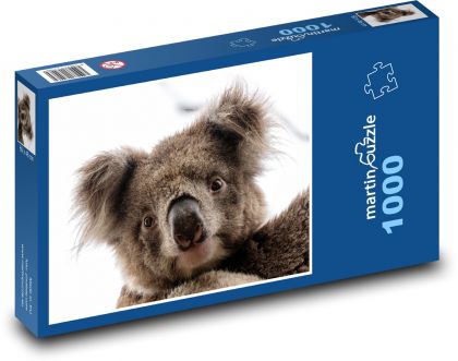 Medvídek koala - vačnatec, zvíře - Puzzle 1000 dílků, rozměr 60x46 cm