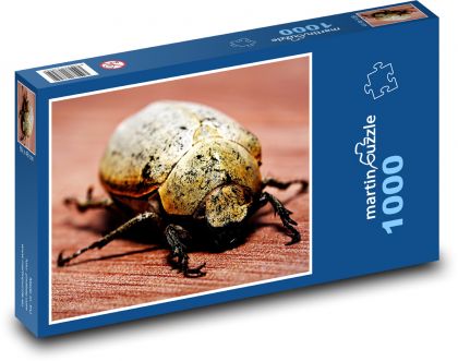 Owady - chrząszcz, entomologia - Puzzle 1000 elementów, rozmiar 60x46 cm