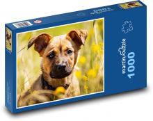 Puppy - pet, dog Puzzle 1000 pieces - 60 x 46 cm 