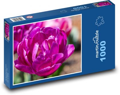 Fialové tulipány - květiny, jaro - Puzzle 1000 dílků, rozměr 60x46 cm