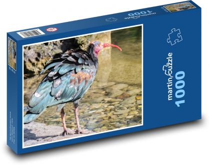 Ibis - bird, feather - Puzzle 1000 pieces, size 60x46 cm 