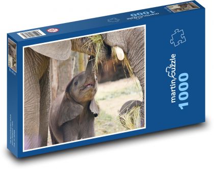 Slon - dieťa, slon - Puzzle 1000 dielikov, rozmer 60x46 cm