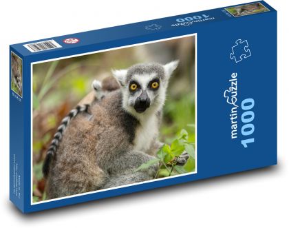 Lemur - matka a mládě, zvíře - Puzzle 1000 dílků, rozměr 60x46 cm