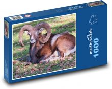 Muffle - ram, animal Puzzle 1000 pieces - 60 x 46 cm 