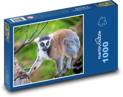 Lemur - opice, primát - Puzzle 1000 dílků, rozměr 60x46 cm