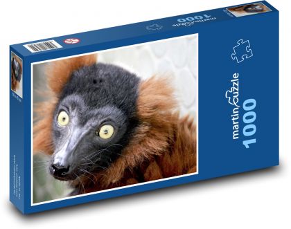 Maki červený - lemur, zvíře - Puzzle 1000 dílků, rozměr 60x46 cm