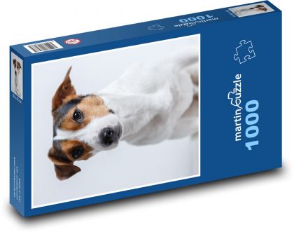 Pes - Jack Russell, mazlíček - Puzzle 1000 dílků, rozměr 60x46 cm