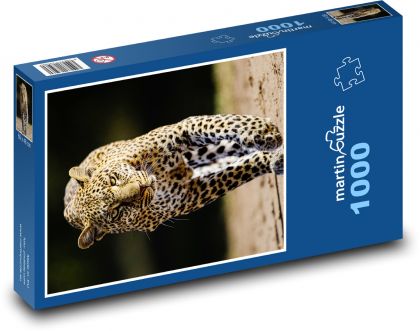 Leopard - divoká kočka, zvíře - Puzzle 1000 dílků, rozměr 60x46 cm