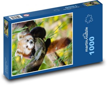 Panda červená - kuriatko, zviera - Puzzle 1000 dielikov, rozmer 60x46 cm