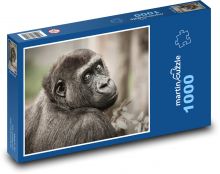 Gorila - zviera, cicavec Puzzle 1000 dielikov - 60 x 46 cm 