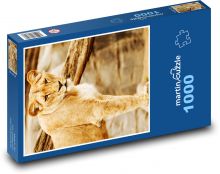 Lioness - beast, predator Puzzle 1000 pieces - 60 x 46 cm 