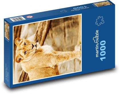 Lioness - beast, predator - Puzzle 1000 pieces, size 60x46 cm 