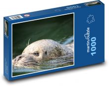 Morský lev - vodné živočíchy. zoologická záhrada Puzzle 1000 dielikov - 60 x 46 cm 