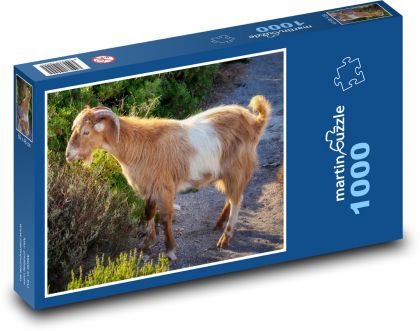 Goat - animal, horns - Puzzle 1000 pieces, size 60x46 cm 