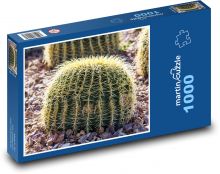 Cactus - sharp, flower Puzzle 1000 pieces - 60 x 46 cm 