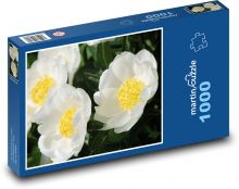 White peonies - flowers in the garden Puzzle 1000 pieces - 60 x 46 cm 