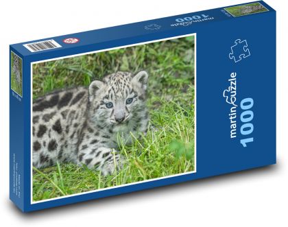 Mládě sněžného leoparda - roztomilá kočička - Puzzle 1000 dílků, rozměr 60x46 cm