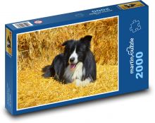 Dog Puzzle 2000 pieces - 90 x 60 cm