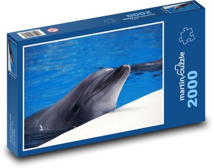 Delfin - Puzzle 2000 elementów, rozmiar 90x60 cm