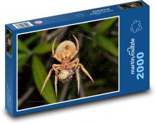 Spider Puzzle 2000 dielikov - 90 x 60 cm