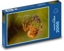 Spider Puzzle 2000 dielikov - 90 x 60 cm