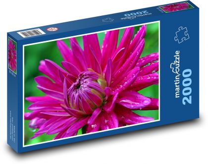 Kvet - Dahlia - Puzzle 2000 dielikov, rozmer 90x60 cm 