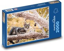 Kočka na stromě Puzzle 2000 dílků - 90 x 60 cm