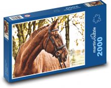 Kůň - hřebec, savec Puzzle 2000 dílků - 90 x 60 cm