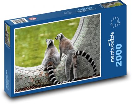 Lemur - opice, zoo - Puzzle 2000 dílků, rozměr 90x60 cm