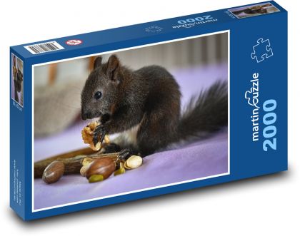 Squirrel - rodent, food - Puzzle 2000 pieces, size 90x60 cm 