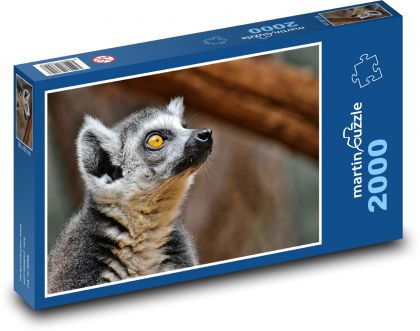 Lemur - zoo, zvíře - Puzzle 2000 dílků, rozměr 90x60 cm