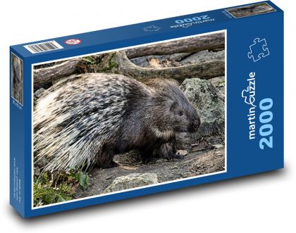 Porcupine - animal, zoo - Puzzle 2000 pieces, size 90x60 cm 