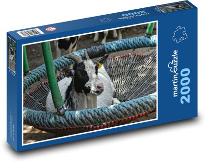 Goat - swing, fun - Puzzle 2000 pieces, size 90x60 cm 